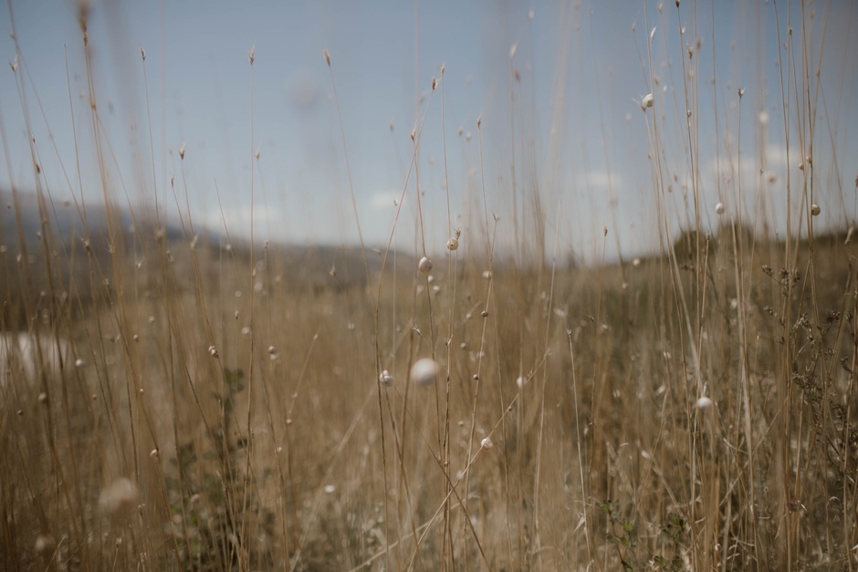 Il Reportage di matrimonio