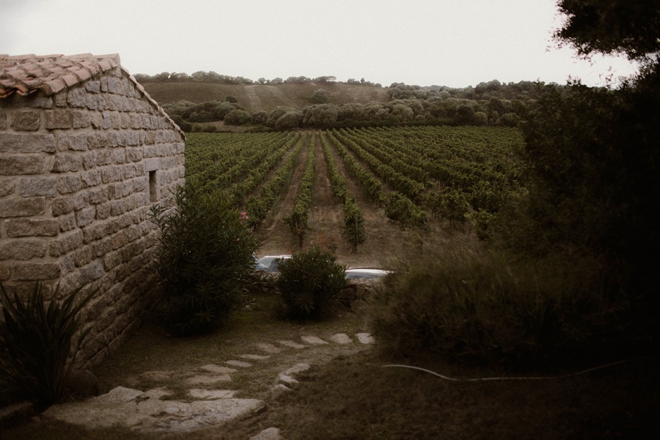 matrimonio in vigna sardegna