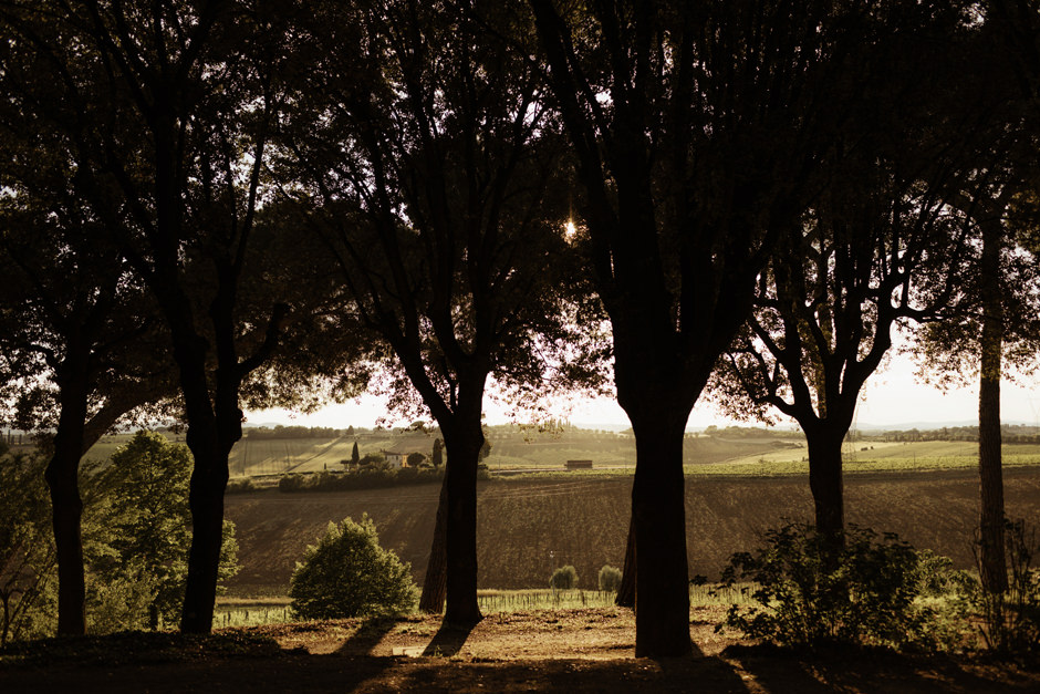Tenuta Montepulciano, view from dinner